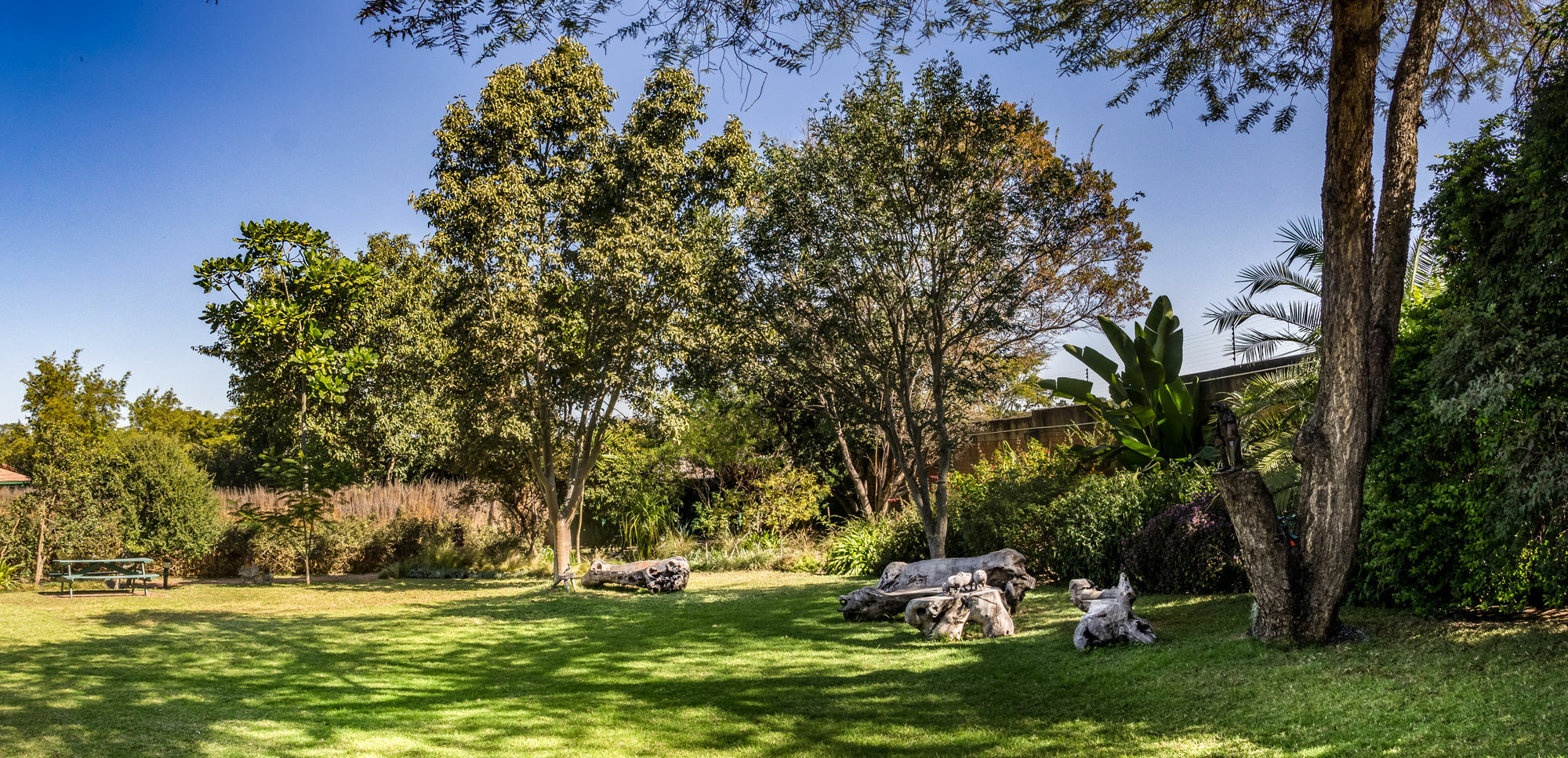 Jacana Gardens Harare Exteriör bild